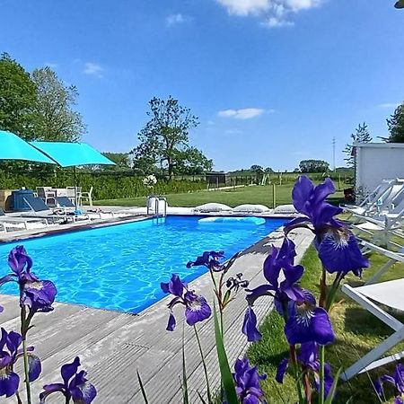 Villa Blue Garden B&B Vlaamse Ardennen Nabij Pairi Daiza Geraardsbergen Luaran gambar