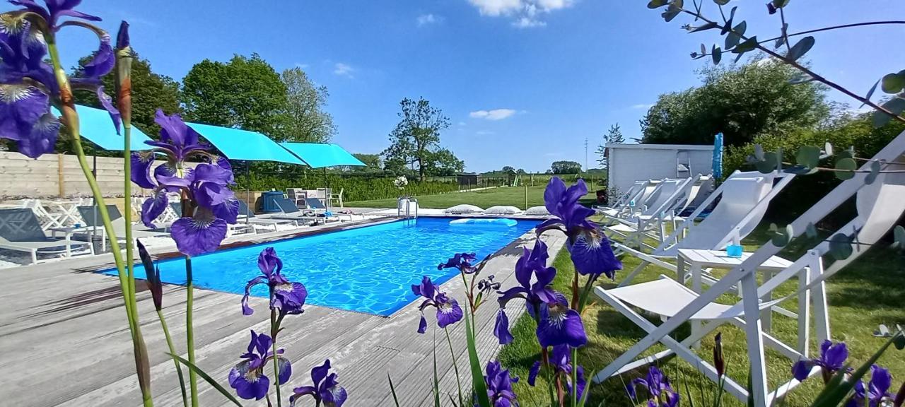 Villa Blue Garden B&B Vlaamse Ardennen Nabij Pairi Daiza Geraardsbergen Luaran gambar